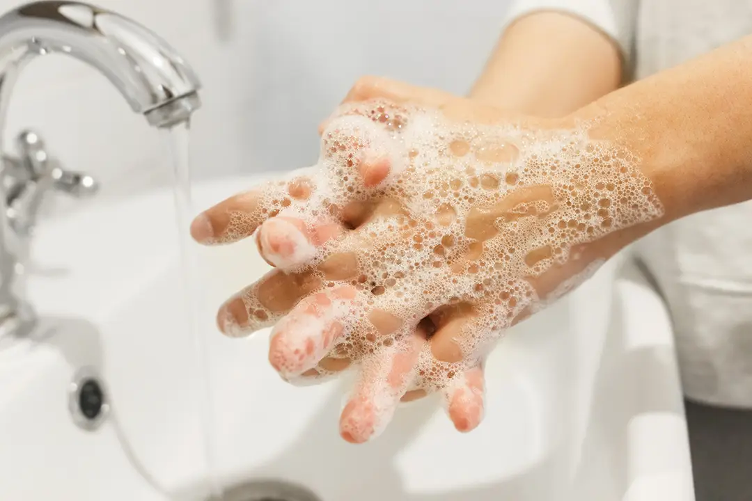 The Comprehensive Guide to Choosing the Best Antibacterial Hand Wash